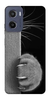 Чехол на Motorola Moto G05 Spy Cat фото 1 из 1
