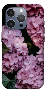 Чохол на Apple iPhone 16 Pro Max Рожеві гартензії фото 1 з 1