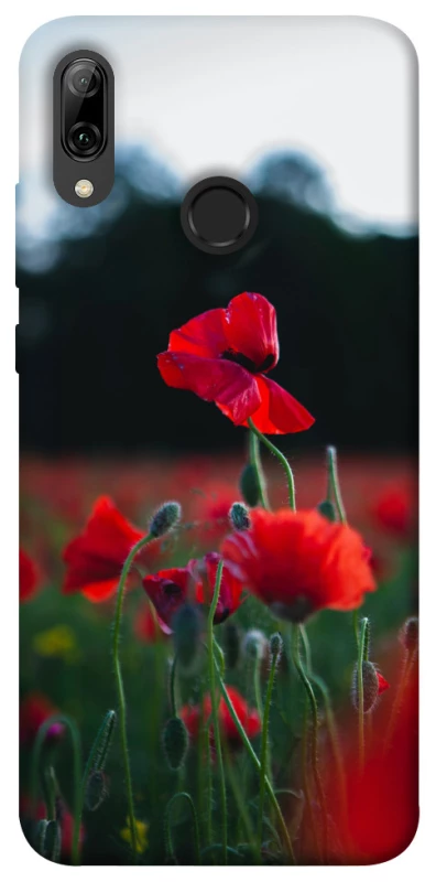 Чехол на Huawei P Smart (2019) Мак фото 1 из 1