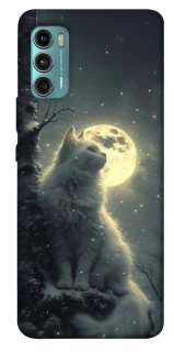Чехол на Motorola Moto G60 Кот под луной фото 1 из 1