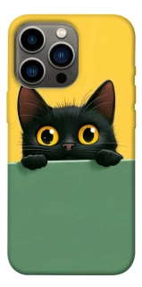 Чехол на Apple iPhone 13 Pro (6.1") Black cat v2 фото 1 из 1