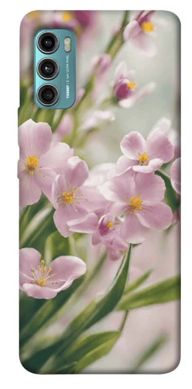 Чохол на Motorola Moto G60 Spring фото 1 з 1