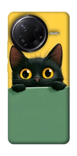 Чехол на Infinix Note 50 Pro Black cat v2 фото 1 из 1