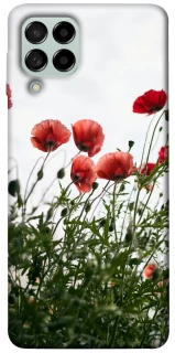 Чохол на Samsung Galaxy M53 5G Поле маків фото 1 з 1