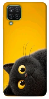 Чохол на Samsung Galaxy M12 This is Cat фото 1 з 1