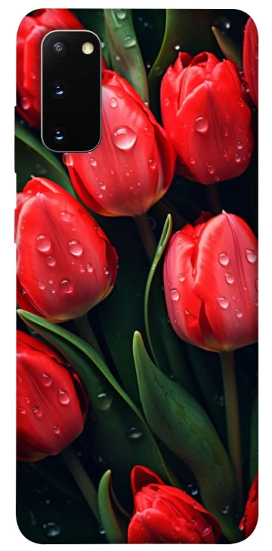 Чохол на Samsung Galaxy S20 Червоні тюльпани фото 1 з 1