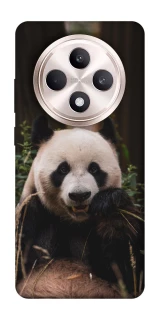 Чехол на Oppo Reno 12 F 4G/5G Панда фото 1 из 1