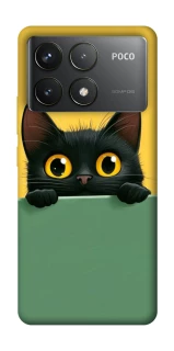 Чехол на Xiaomi Poco F6 Pro Black cat v2 фото 1 из 1