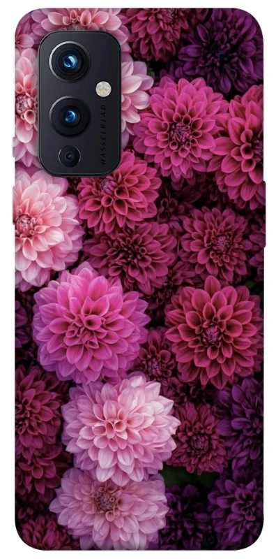 Чехол на OnePlus 9 Garden1 фото 1 из 1