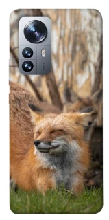 Чехол на Xiaomi 12 / 12X Лиса фото 1 из 1