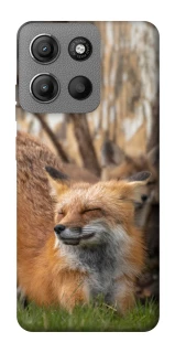 Чехол на Motorola Moto G15 Power Лиса фото 1 из 1