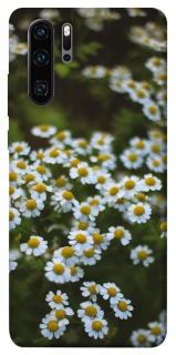 Чехол на Huawei P30 Pro Ромашки v13 фото 1 из 1