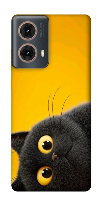 Чохол на Motorola Moto G85 This is Cat фото 1 з 1
