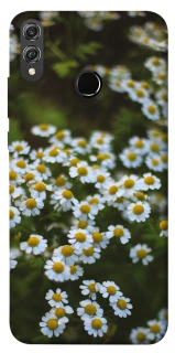 Чехол на Huawei Honor 8X Ромашки v13 фото 1 из 1