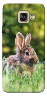 Чехол на Samsung A520 Galaxy A5 (2017) Кролики фото 1 из 1