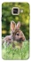 Чехол на Samsung A520 Galaxy A5 (2017) Кролики фото 1 из 1