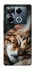 Чехол на Infinix Note 40 Pro 4G Cat paws фото 1 из 1