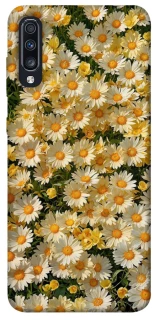 Чохол на Samsung Galaxy A70 (A705F) Camomile фото 1 з 1