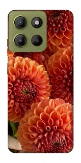 Чохол на Motorola Moto G15 4G Flower1 фото 1 з 1