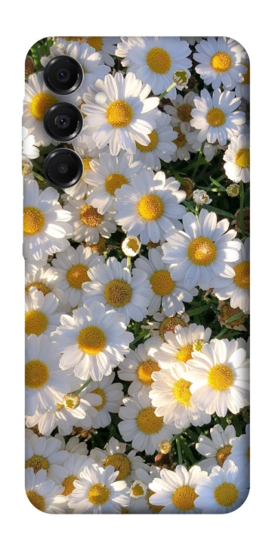 Чехол на Samsung Galaxy A17 4G/5G Поле ромашек фото 1 из 1