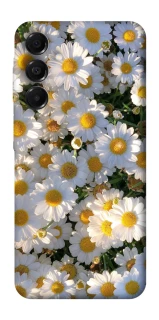 Чехол на Samsung Galaxy A17 4G/5G Поле ромашек фото 1 из 1