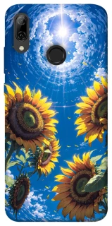 Чохол на Huawei P Smart (2019) Sunflowers фото 1 з 1