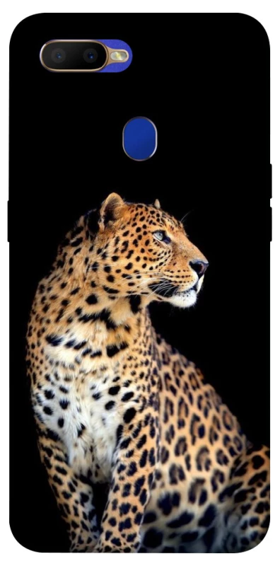 Чохол на Oppo A5s Leopard v2 фото 1 з 1