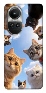 Чехол на Oppo Reno 10 Cats фото 1 из 1