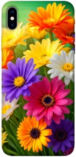 Чехол на Apple iPhone XS Max (6.5") Flowers v32 фото 1 из 1