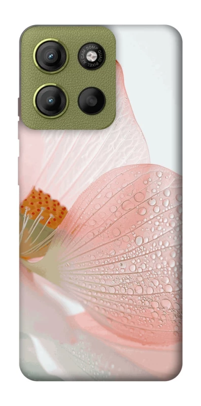 Чохол на Motorola Moto G15 4G Flowers zon фото 1 з 1