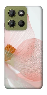 Чохол на Motorola Moto G15 4G Flowers zon фото 1 Чохол на Motorola Moto G15 4G Flowers zon фото 1 з 1