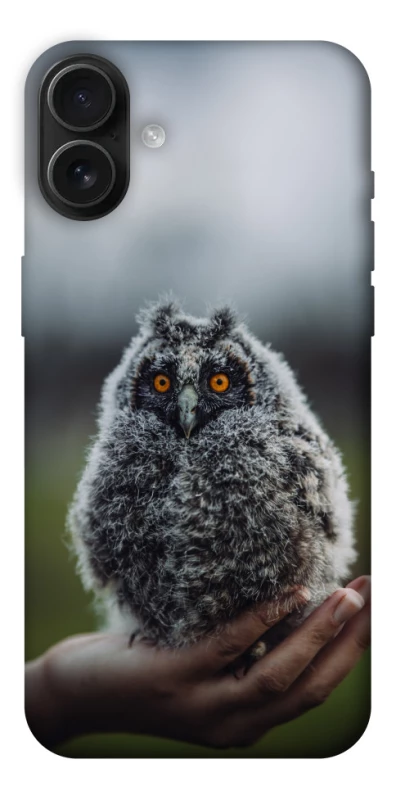 Чохол на Apple iPhone 16 Plus Совеня фото 1 з 1