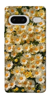 Чехол на Google Pixel 7 Camomile фото 1 из 1