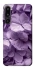 Чехол на Samsung Galaxy F16 Floral Symphony фото 1 из 1
