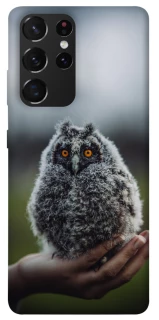 Чохол на Samsung Galaxy S21 Ultra Совеня фото 1 з 1