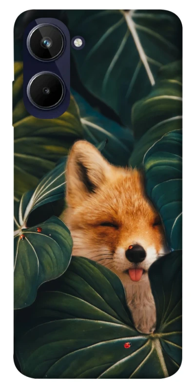 Чохол на Realme 10 4G Fox фото 1 з 1