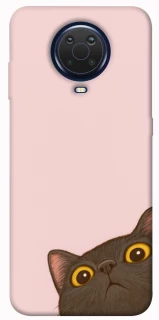 Чохол на Nokia G20 / G10 / 6.3 Peeping cat фото 1 з 1