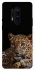 Чехол на OnePlus 8 Pro Leopard v4 фото 1 из 1