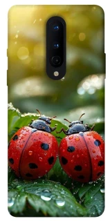 Чехол на OnePlus 8 Flowers v23 фото 1 из 1