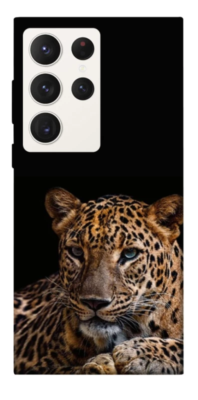 Чехол на Samsung Galaxy S23 Ultra Leopard v4 фото 1 из 1