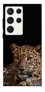 Чехол на Samsung Galaxy S23 Ultra Leopard v4 фото 1 из 1