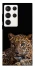 Чехол на Samsung Galaxy S23 Ultra Leopard v4 фото 1 из 1
