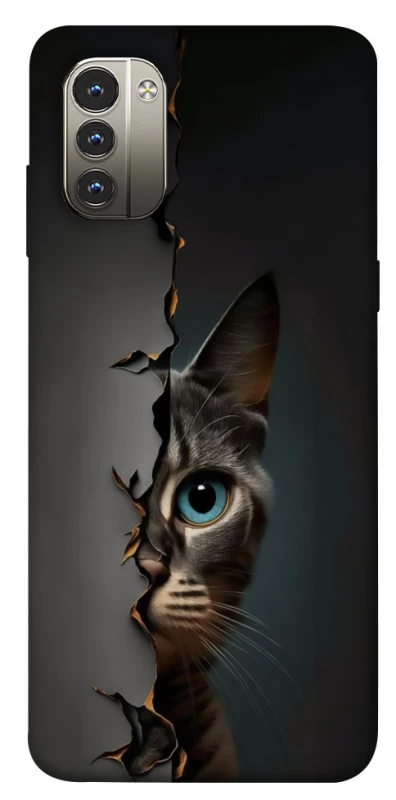 Чехол на Nokia G11 Кот-подглядыватель v2 фото 1 из 1
