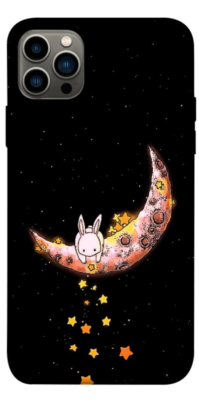 Чохол на Apple iPhone 12 Pro (6.1") Moon rabbit фото 1 з 1