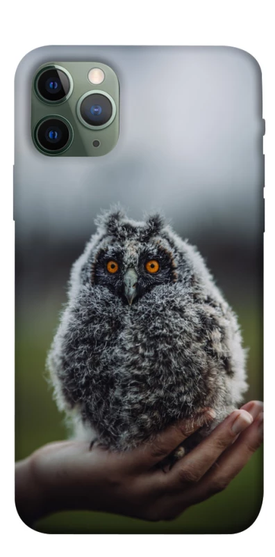 Чехол на Apple iPhone 11 Pro (5.8") Совёнок фото 1 из 1