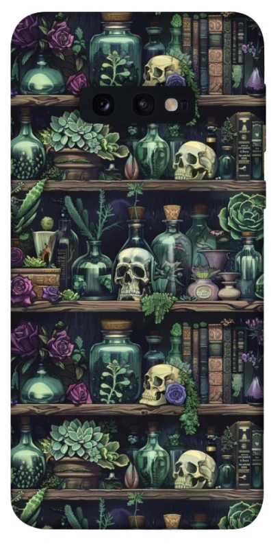 Чохол на Samsung Galaxy S10e Bookshelf ver.1 фото 1 з 1