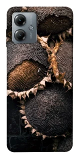 Чехол на Motorola Moto G14 Dreams2 фото 1 из 1