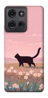 Чохол на Motorola Moto G75 cat on a field фото 1 з 1
