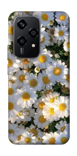 Чехол на Honor 200 Lite Поле ромашек фото 1 из 1