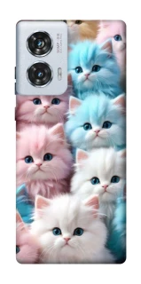 Чохол на Motorola Edge 50 Fusion Kittie Love фото 1 з 1